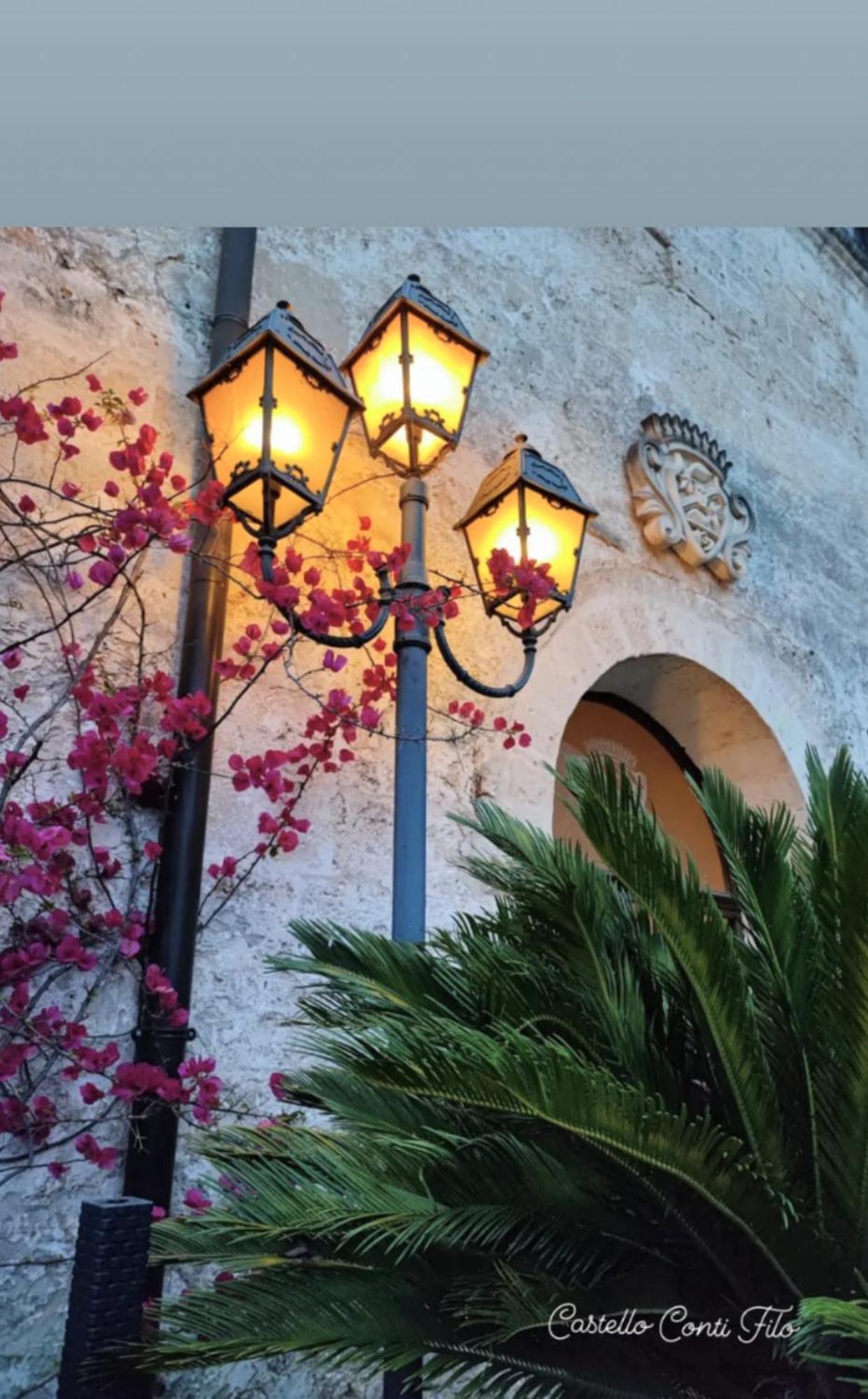 Castello Conti Filo Bed & Breakfast Torre Santa Susanna Dış mekan fotoğraf